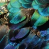 A-Meubel Colorful Peacock Feathers
