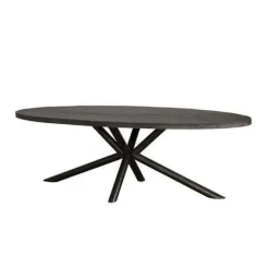 A-Meubel Eettafel Ovaal Selva