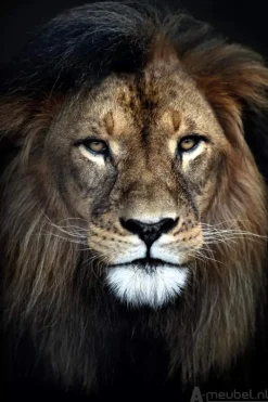 A-Meubel Strong Lion